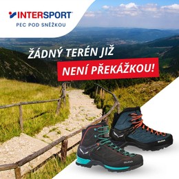 Jistota každého kroku v letní sezóně? Jedině v botách Salewa